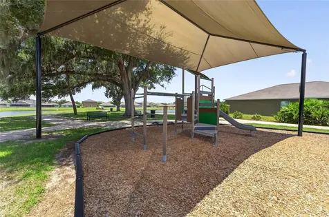 10304 Strawberry Tetra Drive Riverview FL 33578