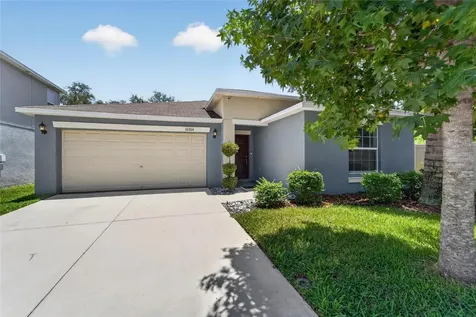 10304 Strawberry Tetra Drive Riverview FL 33578