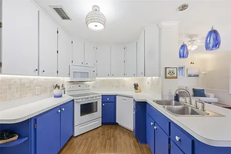 936 N Baker Street Mount Dora FL 32757