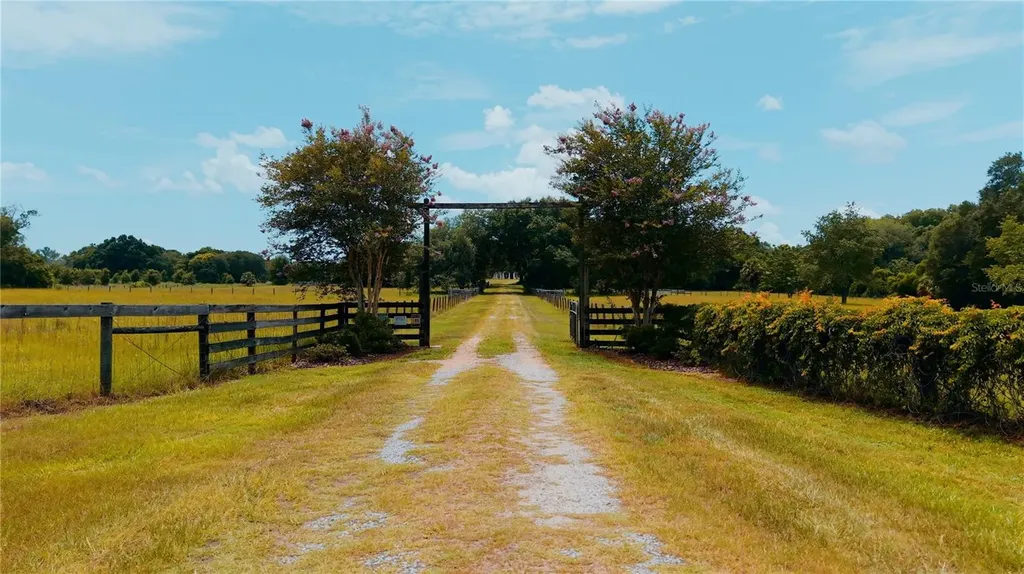 21341 Horse Ranch Road Mount Dora FL 32757
