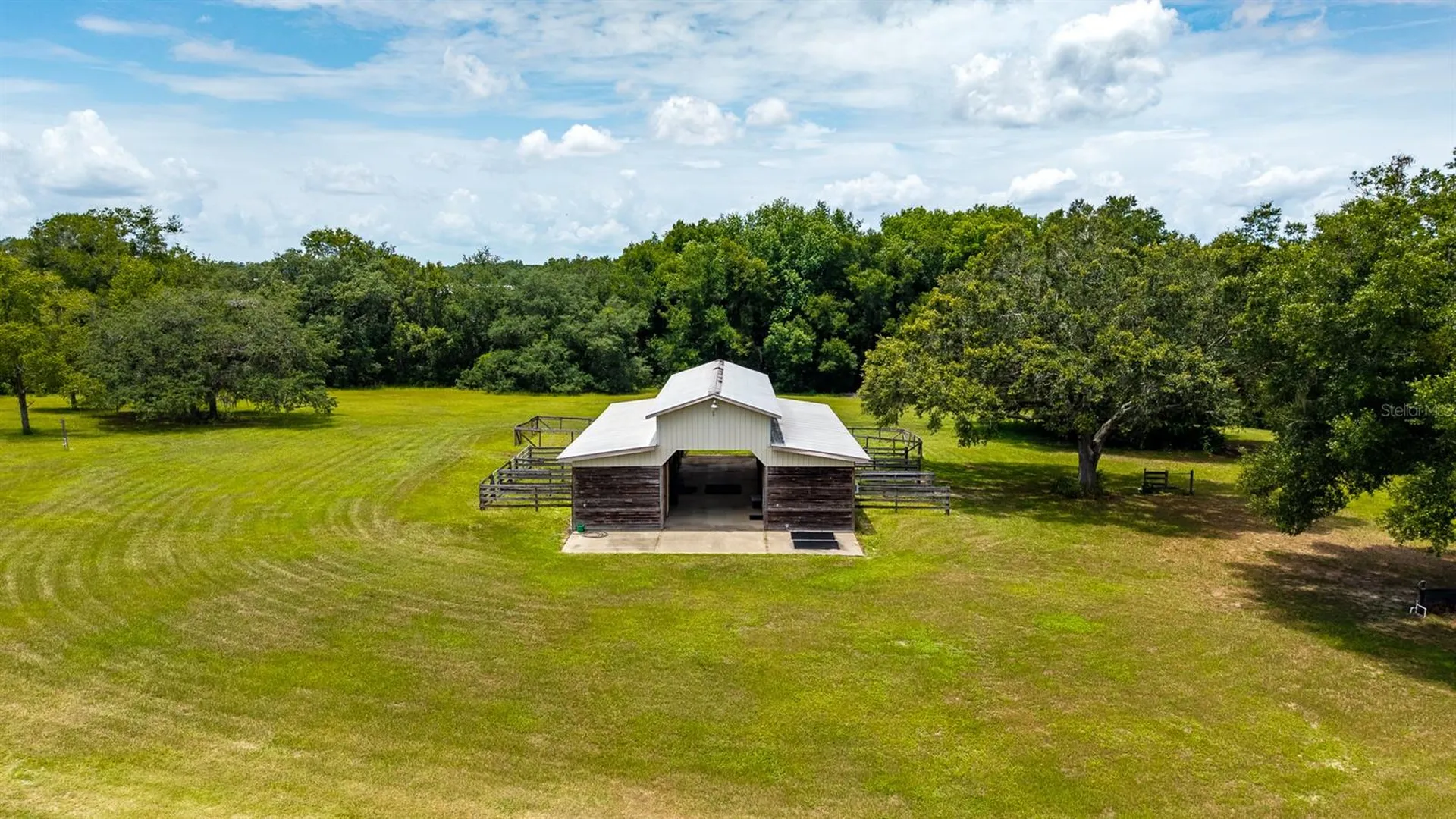 21341 Horse Ranch Road Mount Dora FL 32757