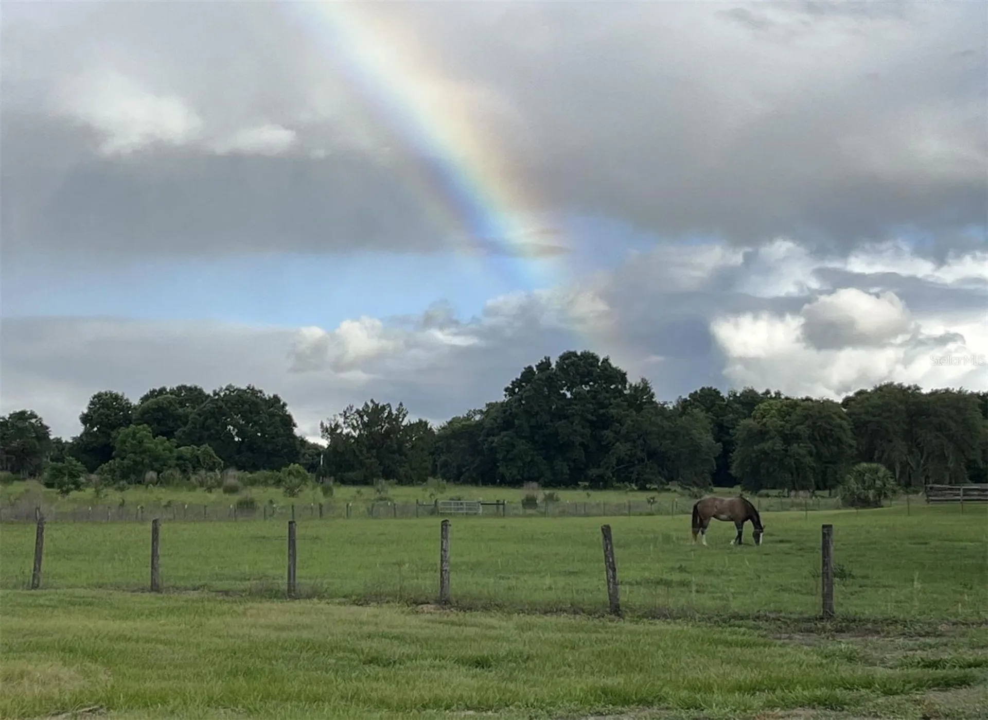 21341 Horse Ranch Road Mount Dora FL 32757