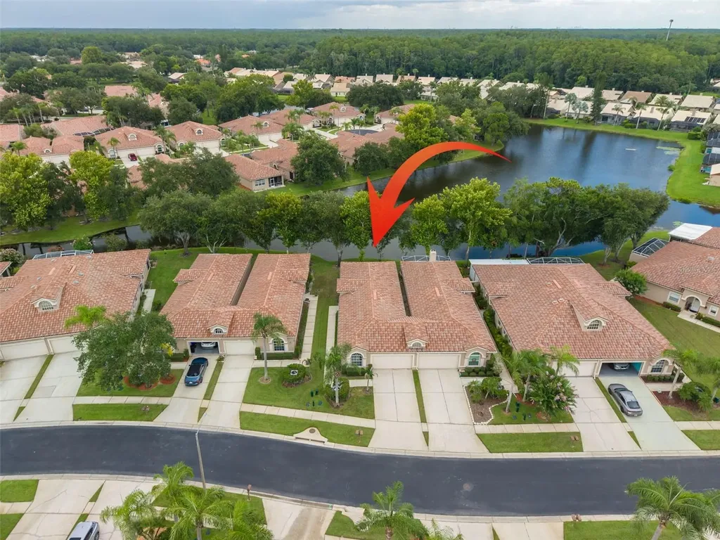 3777 Darston Street Palm Harbor FL 34685
