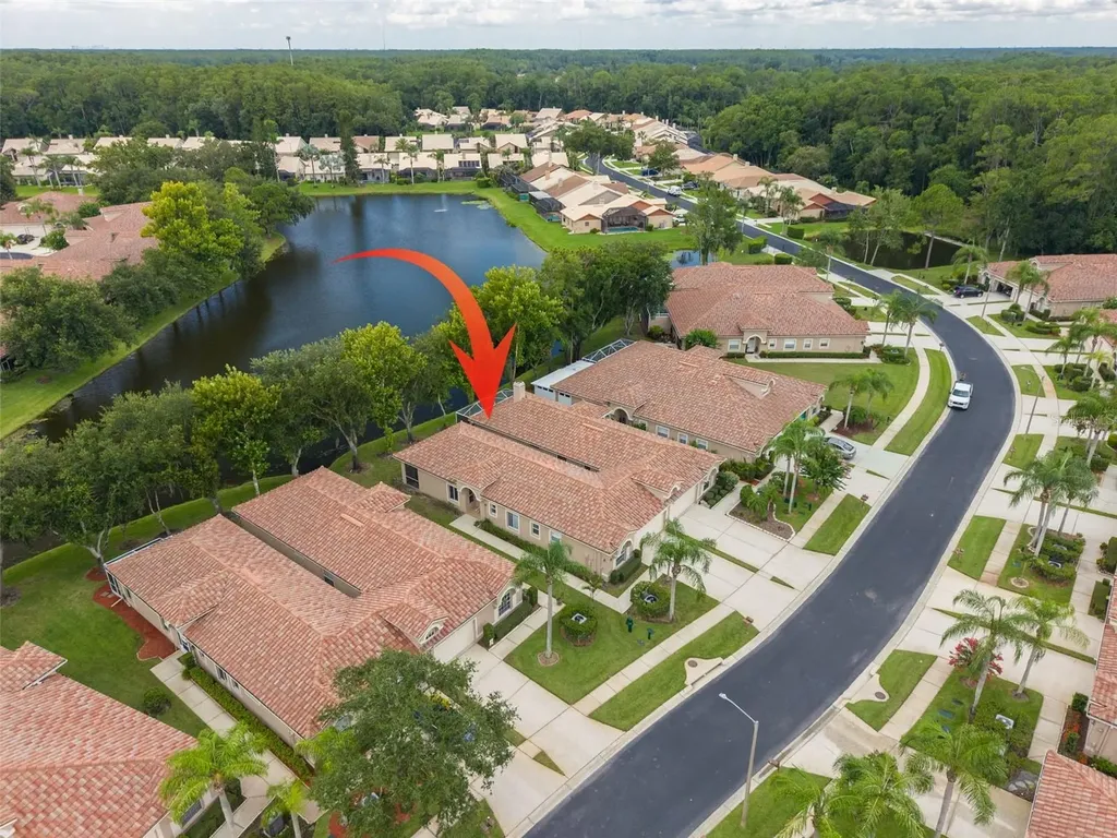3777 Darston Street Palm Harbor FL 34685