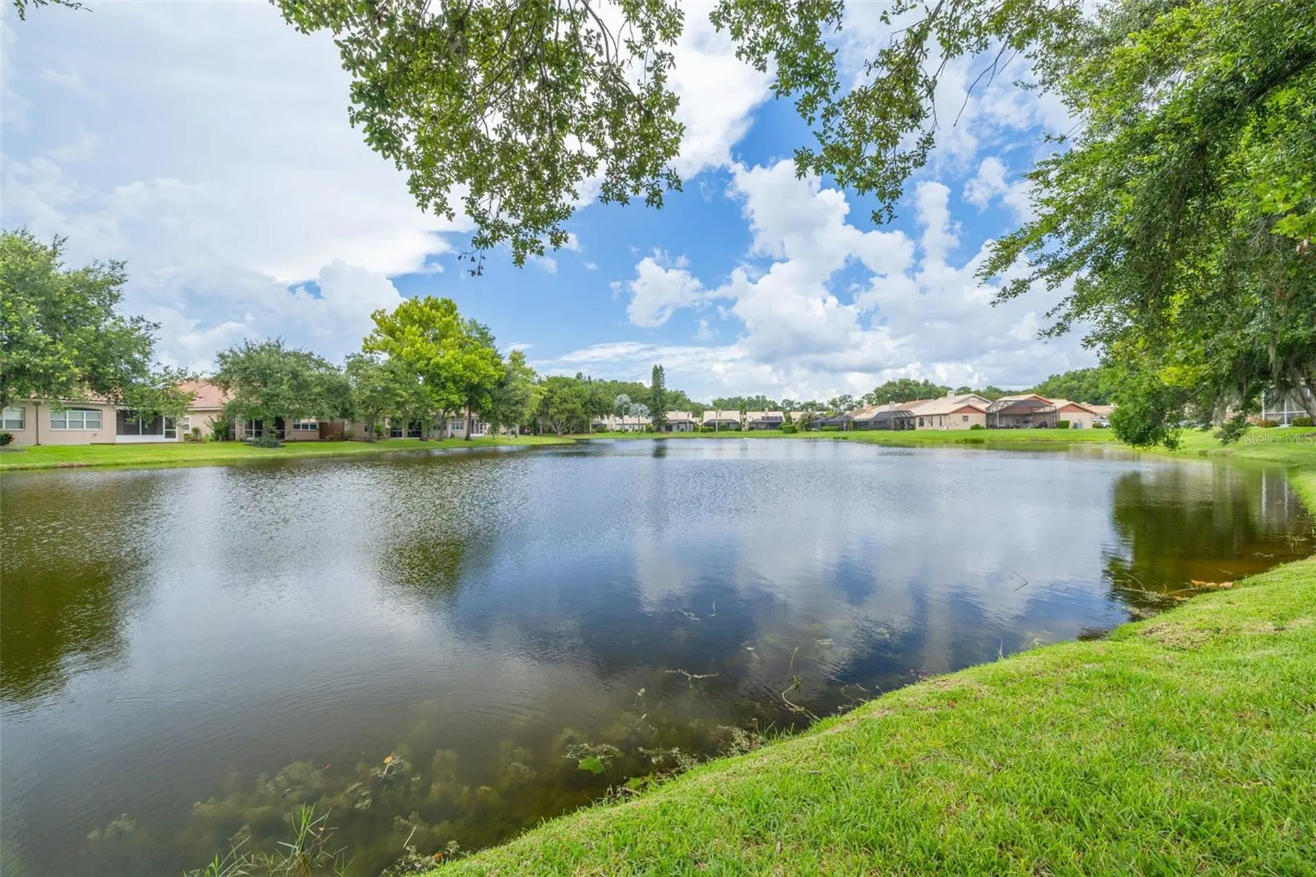 3777 Darston Street Palm Harbor FL 34685