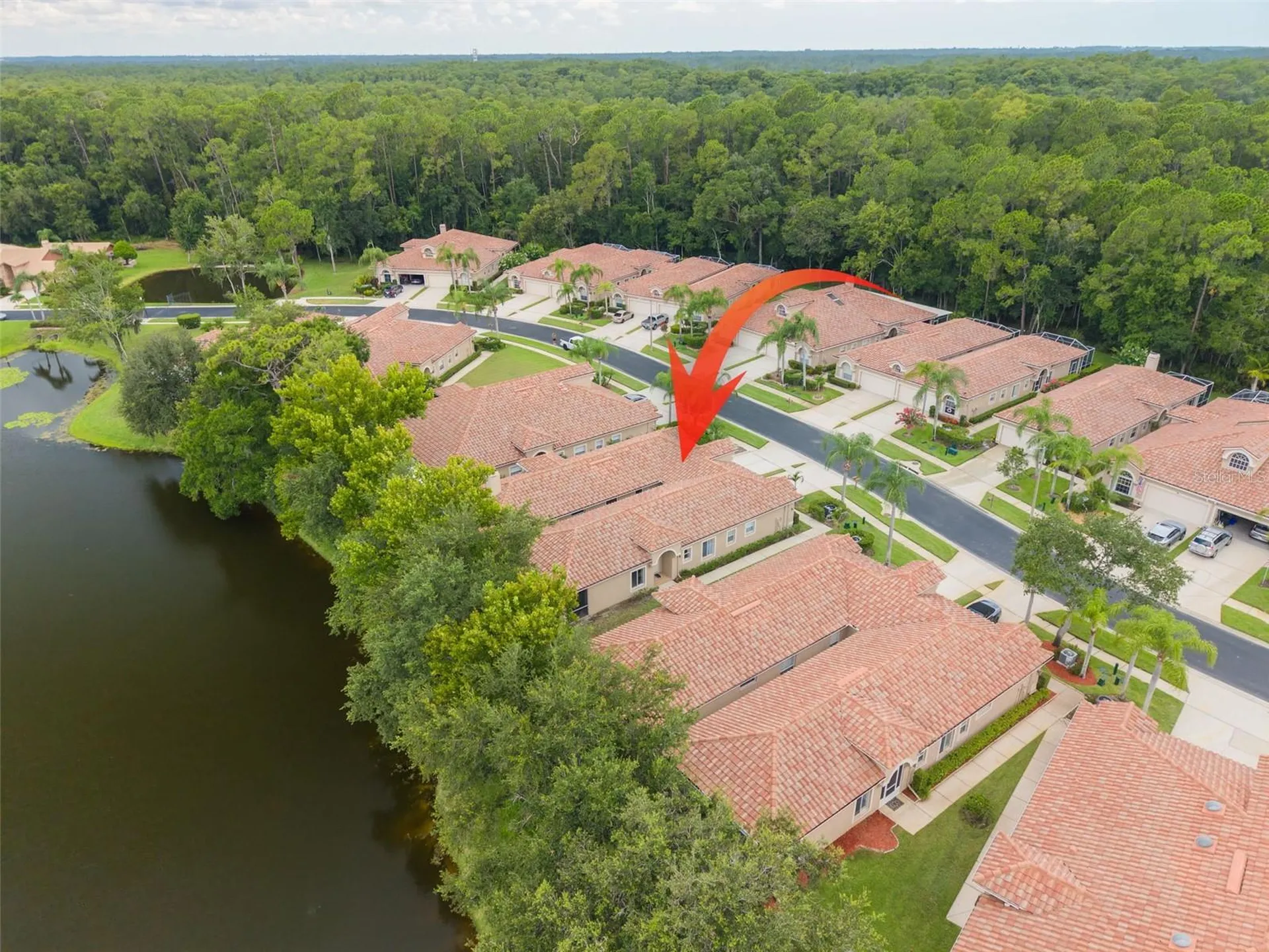 3777 Darston Street Palm Harbor FL 34685