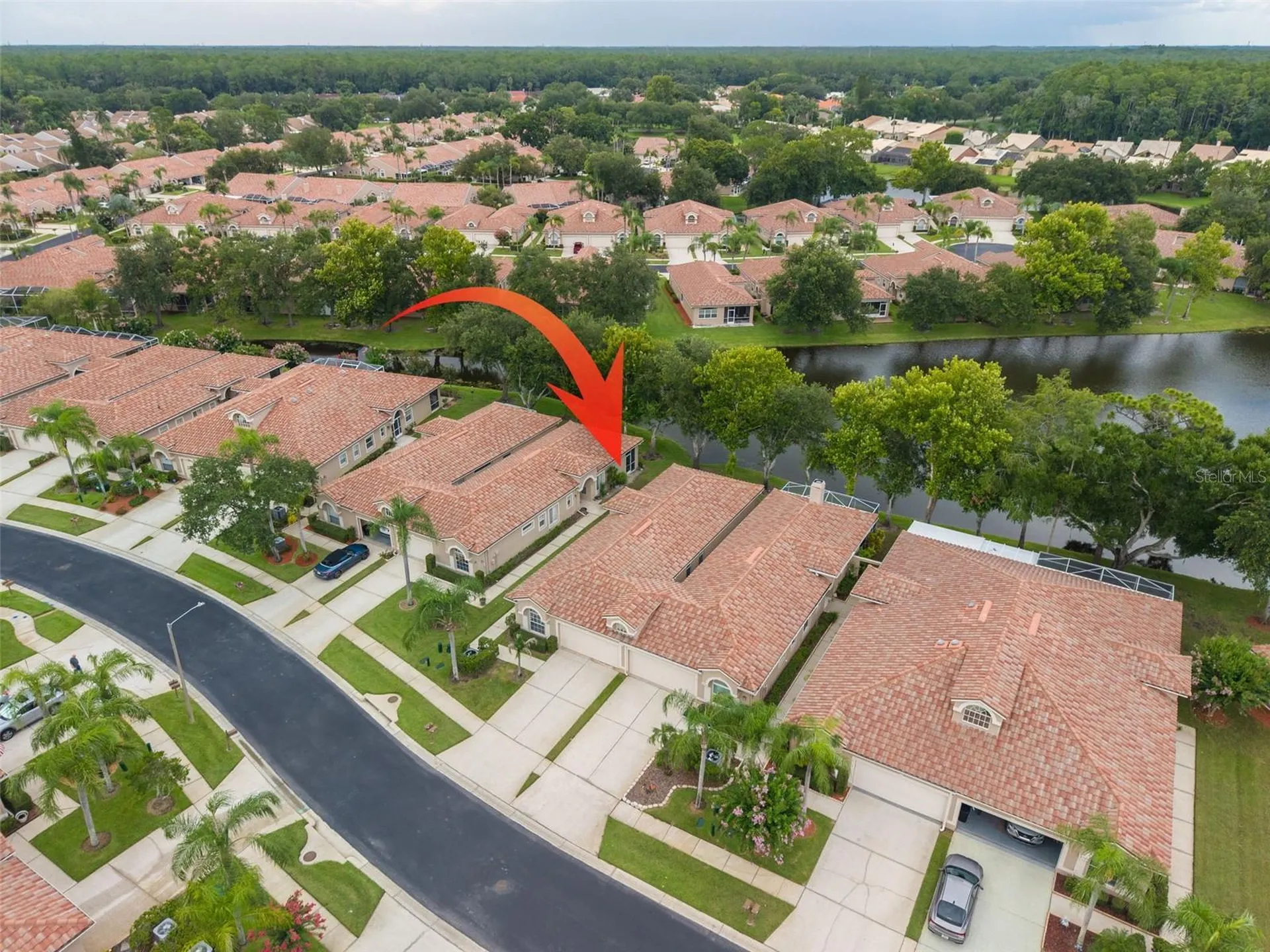 3777 Darston Street Palm Harbor FL 34685