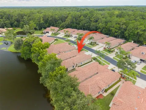 3777 Darston Street Palm Harbor FL 34685