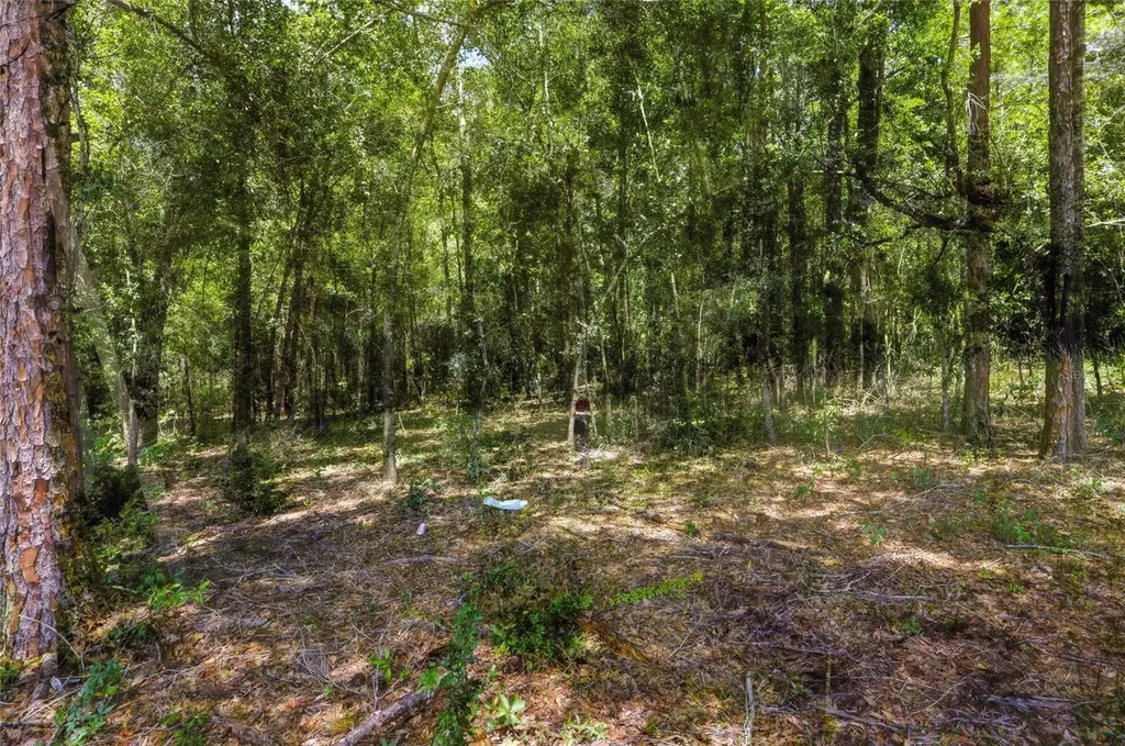 Centennail Road Dade City FL 33525
