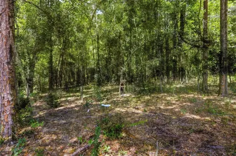Centennial Road Dade City FL 33525