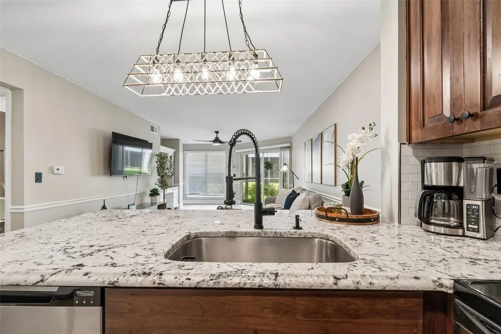 4115 Chatham Oak Court Tampa FL 33624