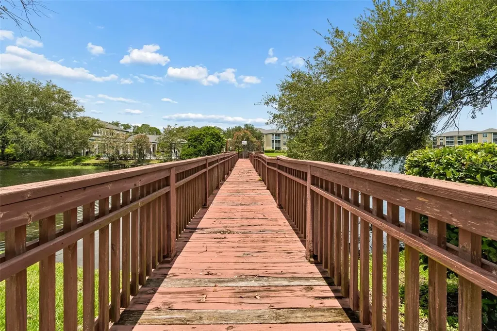 4115 Chatham Oak Court Tampa FL 33624