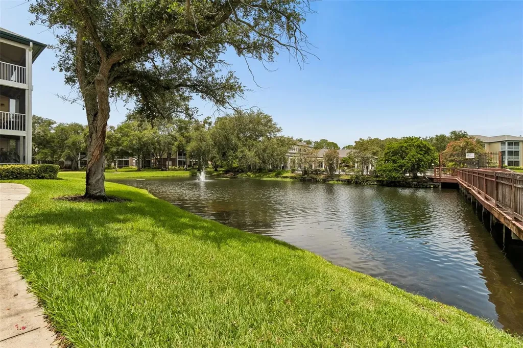 4115 Chatham Oak Court Tampa FL 33624