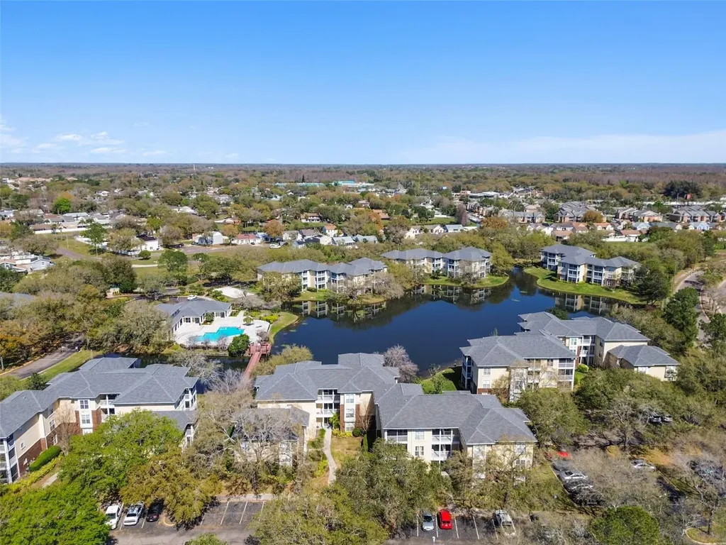 4115 Chatham Oak Court Tampa FL 33624