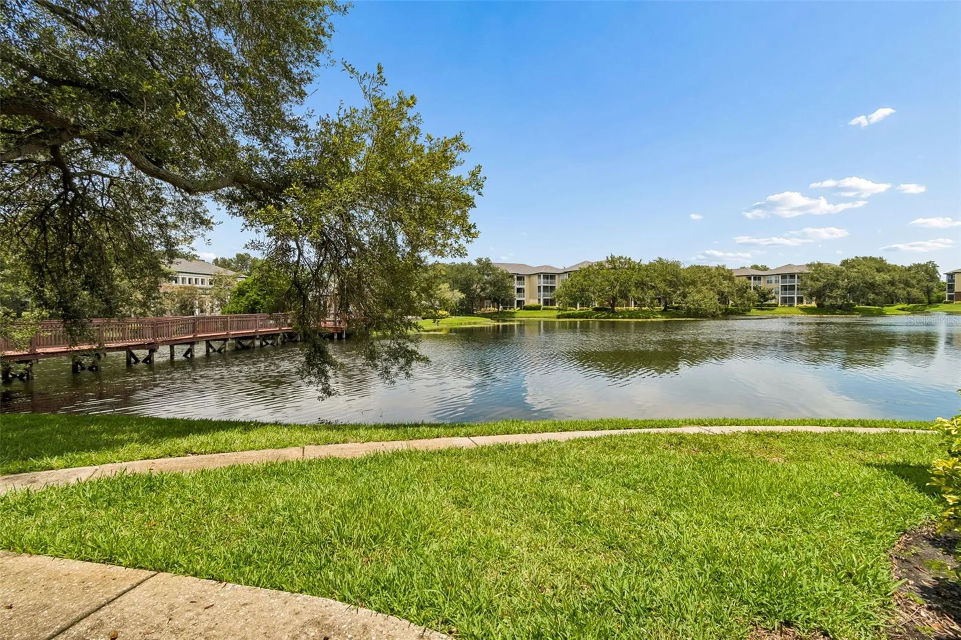 4115 Chatham Oak Court Tampa FL 33624
