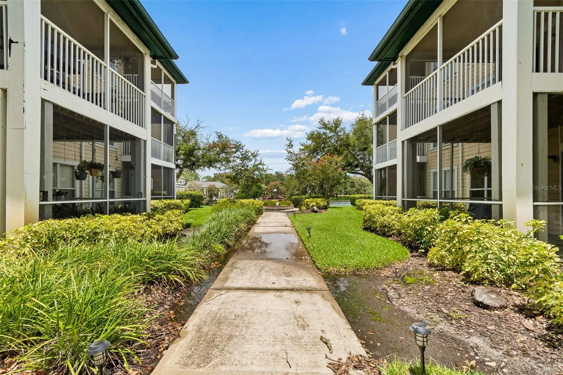 4115 Chatham Oak Court Tampa FL 33624