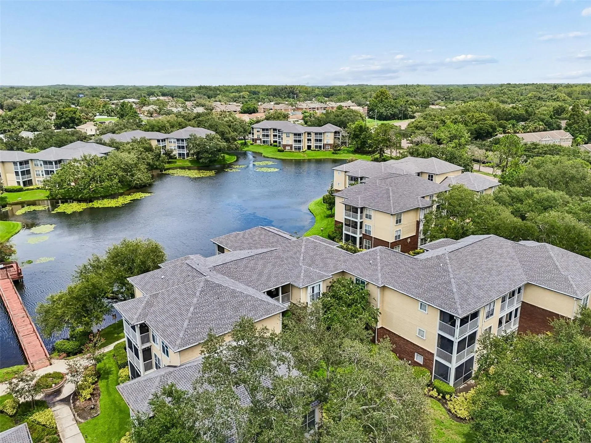 4115 Chatham Oak Court Tampa FL 33624