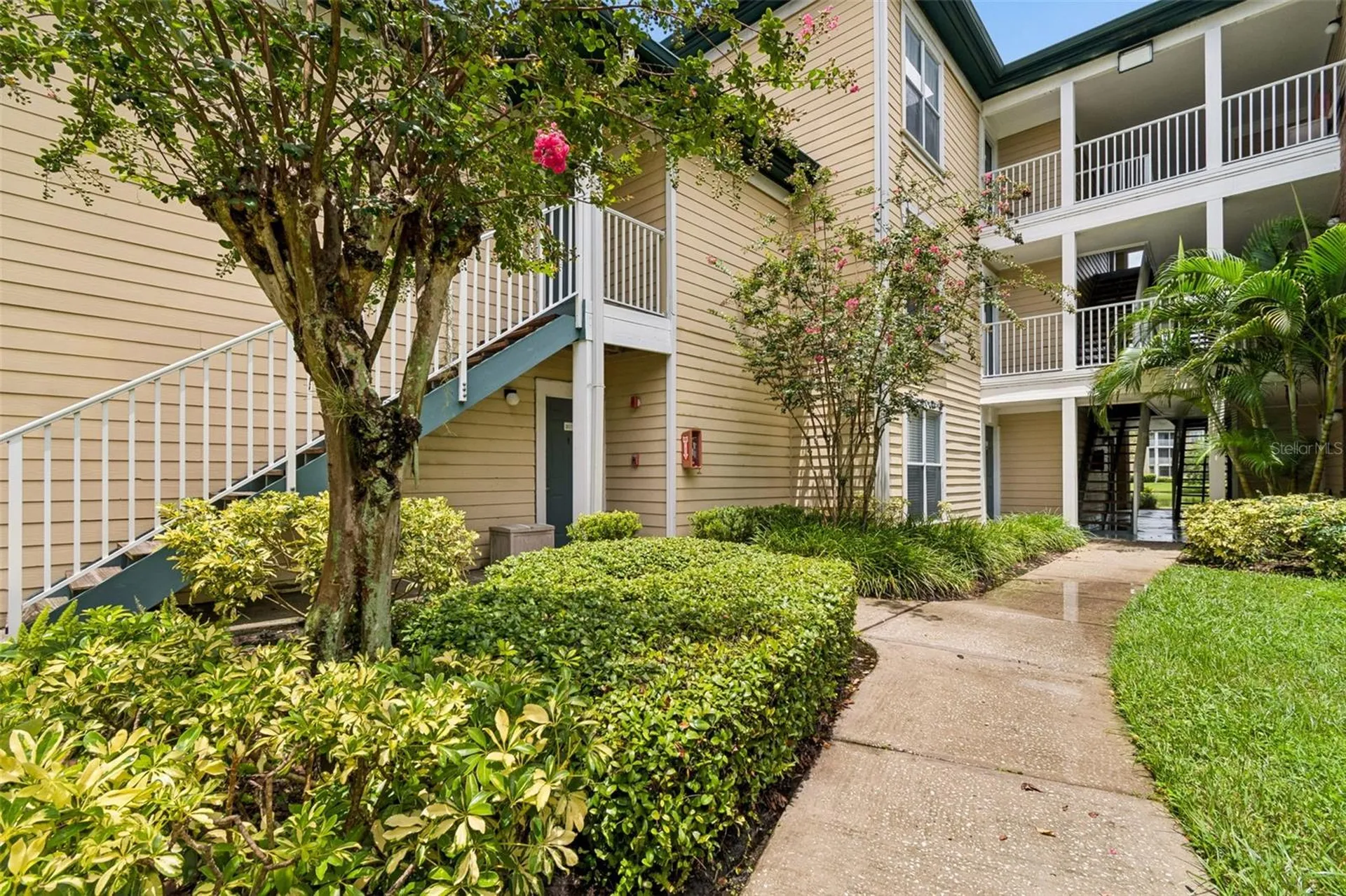 4115 Chatham Oak Court Tampa FL 33624