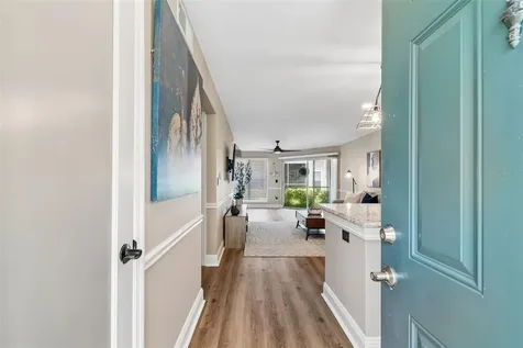 4115 Chatham Oak Court Tampa FL 33624