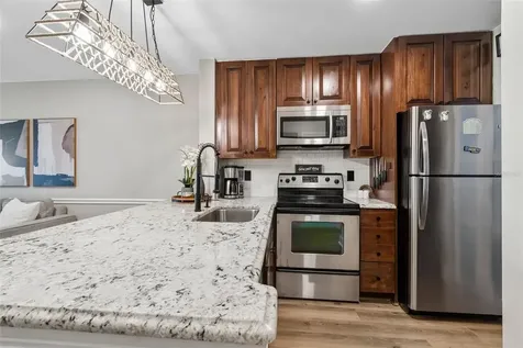 4115 Chatham Oak Court Tampa FL 33624