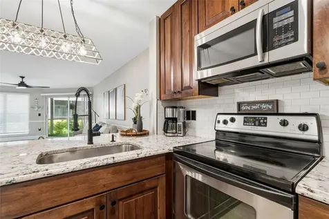 4115 Chatham Oak Court Tampa FL 33624
