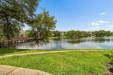 4115 Chatham Oak Court Tampa FL 33624