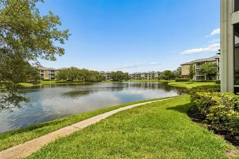 4115 Chatham Oak Court Tampa FL 33624