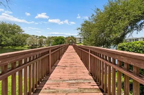 4115 Chatham Oak Court Tampa FL 33624