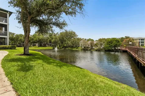 4115 Chatham Oak Court Tampa FL 33624