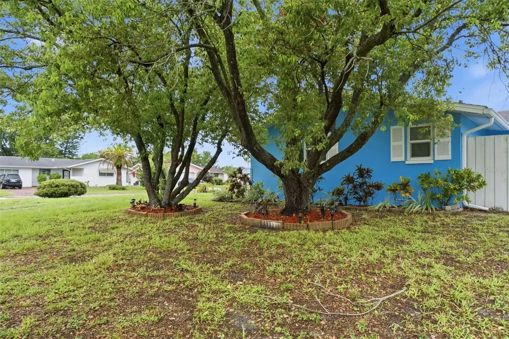 7203 Cherry Laurel Drive Port Richey FL 34668