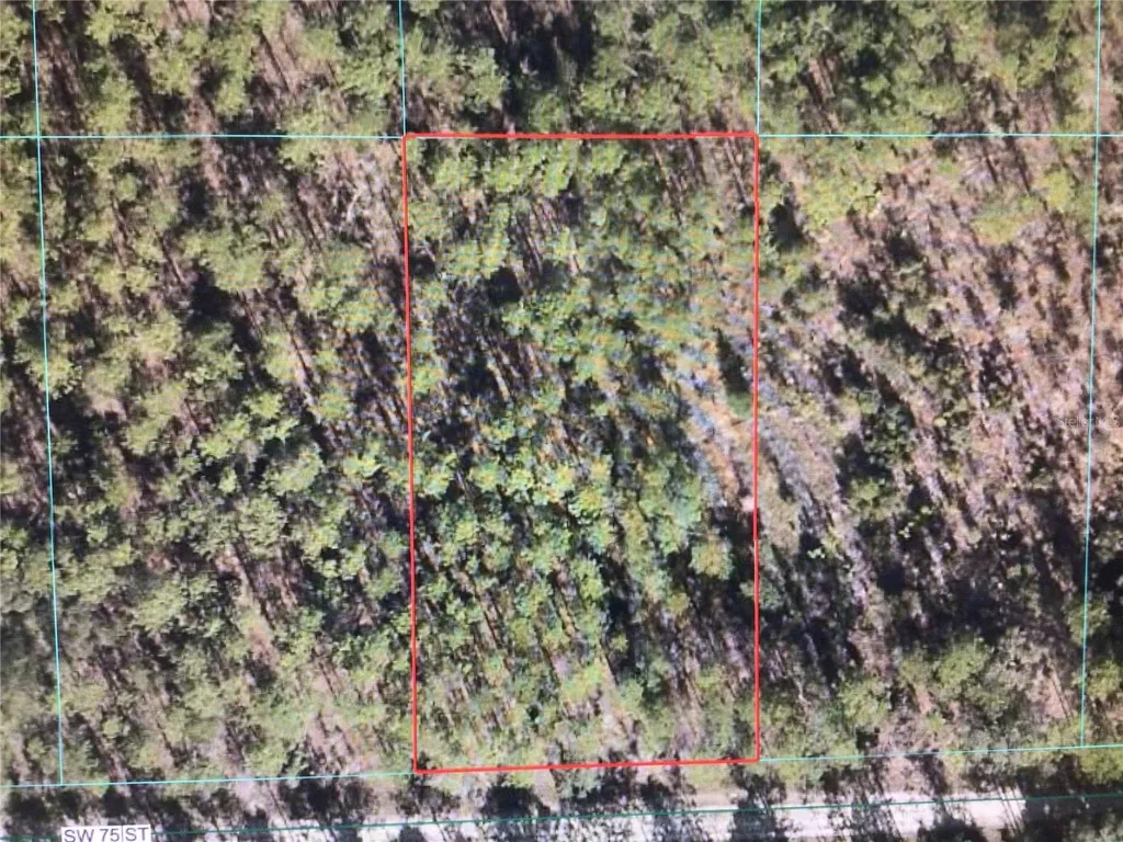 0 SW 75 Street Dunnellon FL 34432