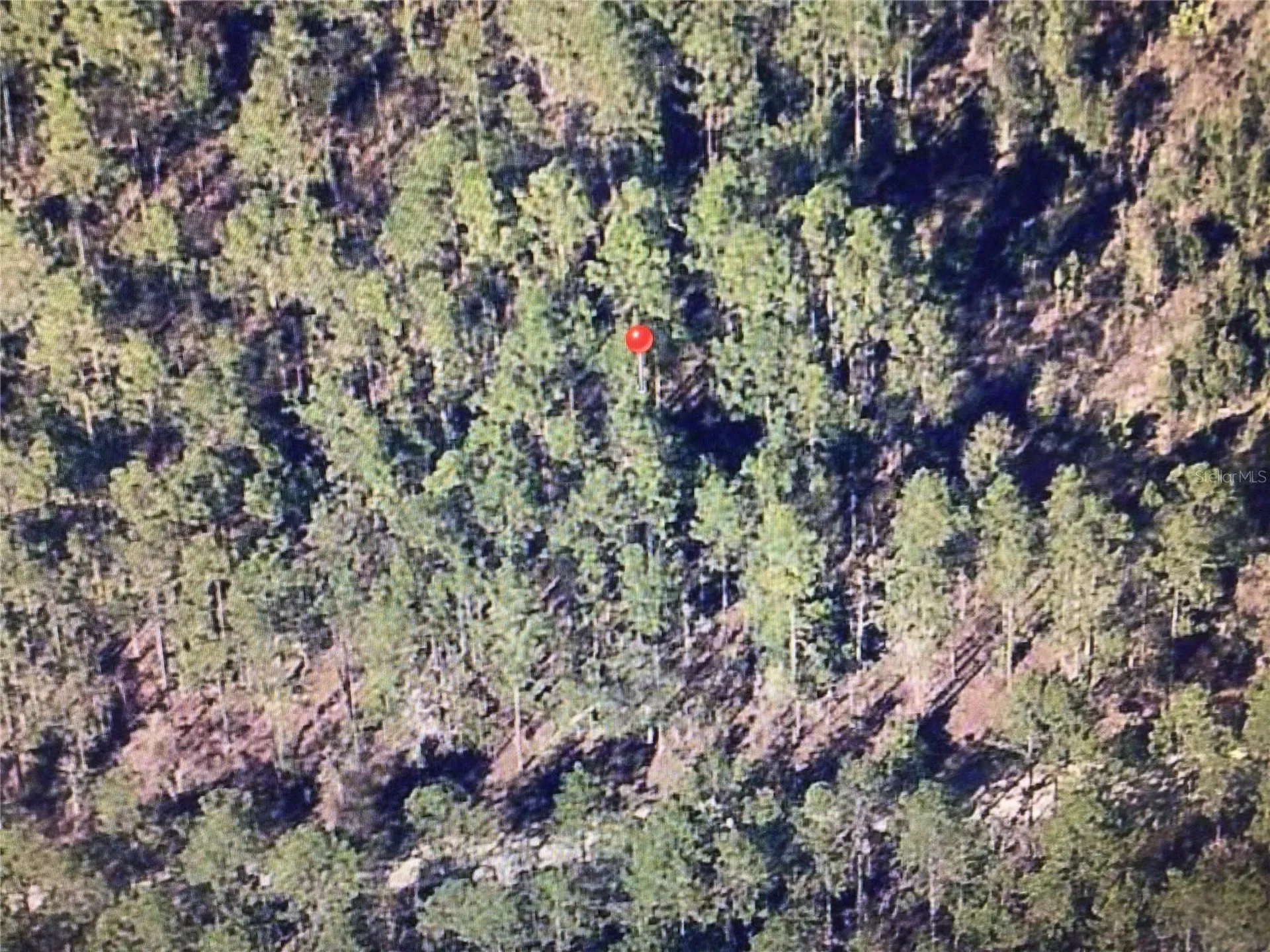 0 SW 75 Street Dunnellon FL 34432