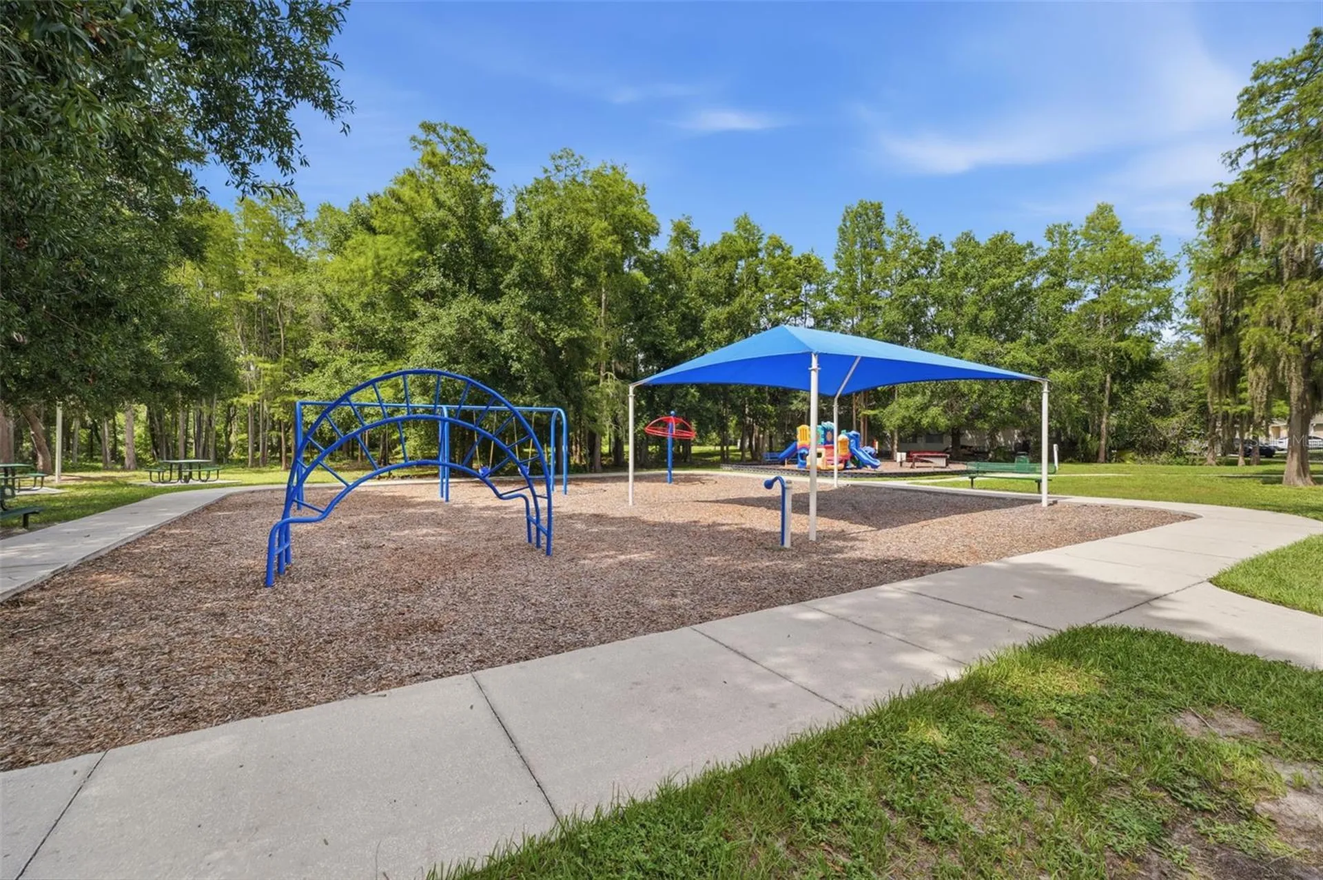 14026 Jacobson Drive Odessa FL 33556