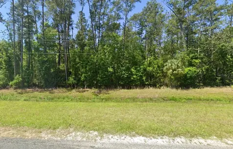 00 SE Us 19 Highway Otter Creek FL 32683