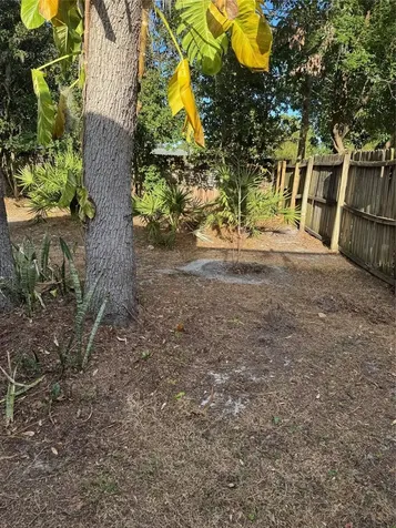 3321 Royal Street Winter Park FL 32792