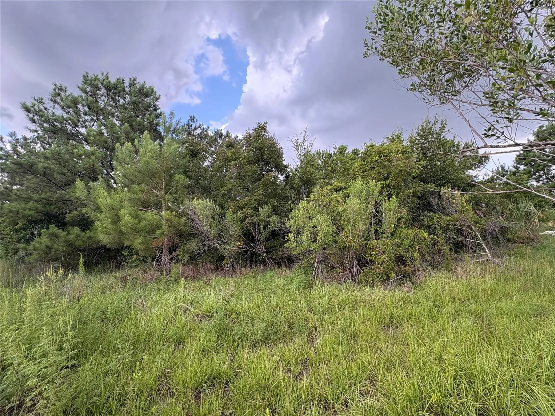 Evening Star Brooksville FL 34604