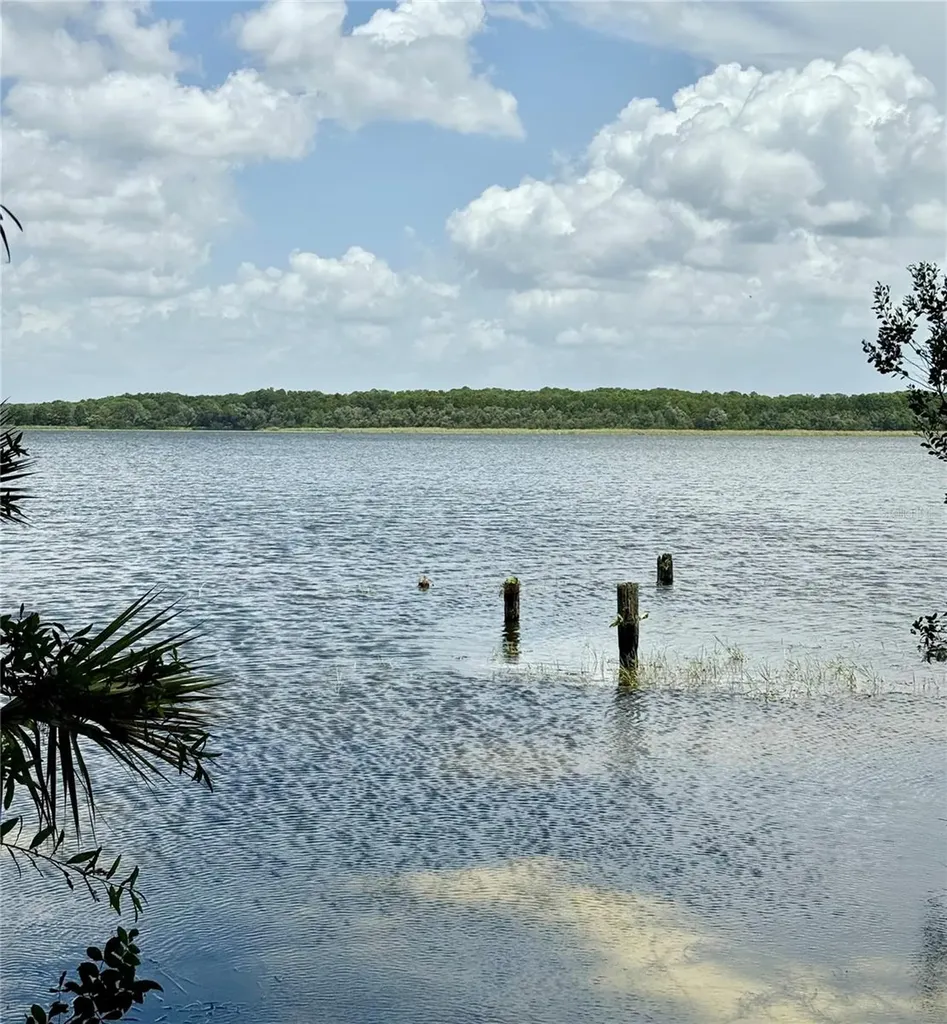 1610 Berwick Court Palm Harbor FL 34684