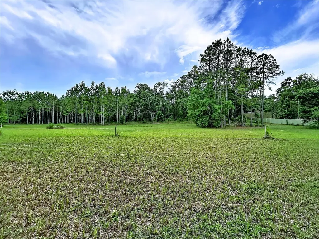 16605 Happy Garden Way Lutz FL 33549