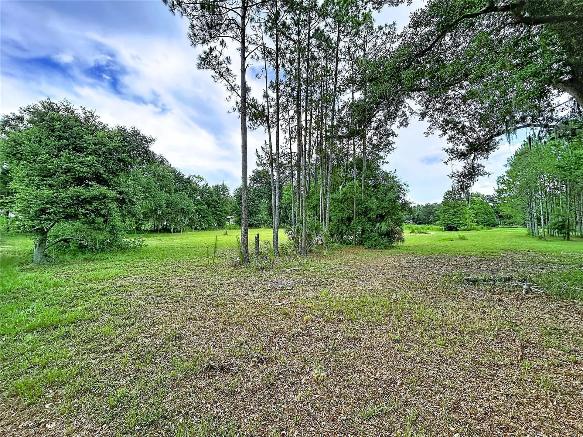 16605 Happy Garden Way Lutz FL 33549