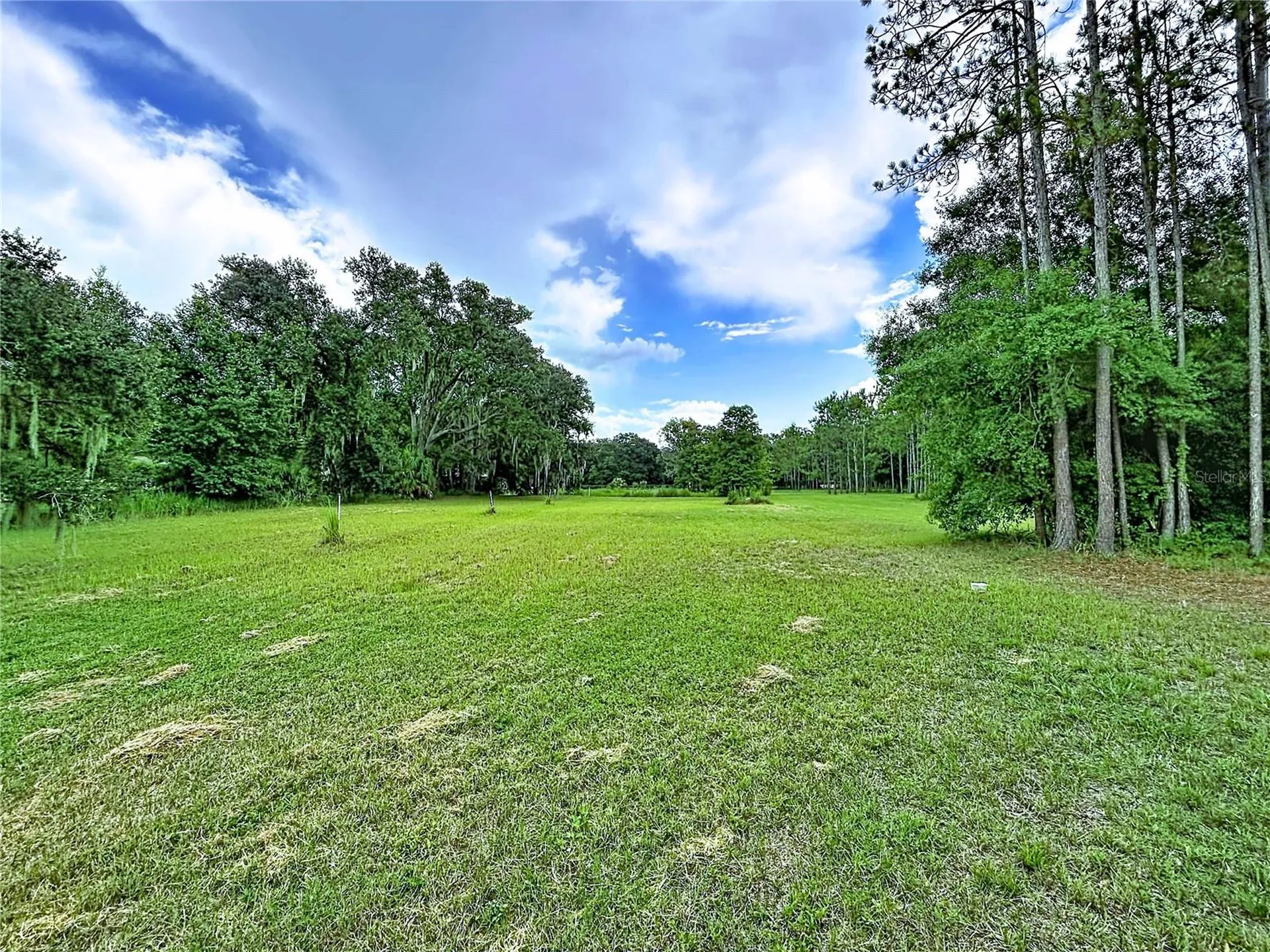 16605 Happy Garden Way Lutz FL 33549