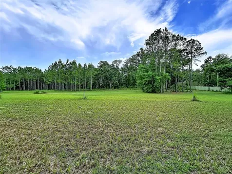 16605 Happy Garden Way Lutz FL 33549