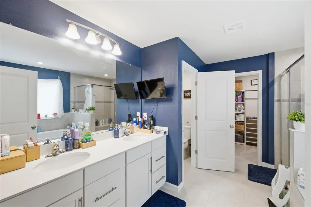 10188 Agave Court Land O Lakes FL 34638