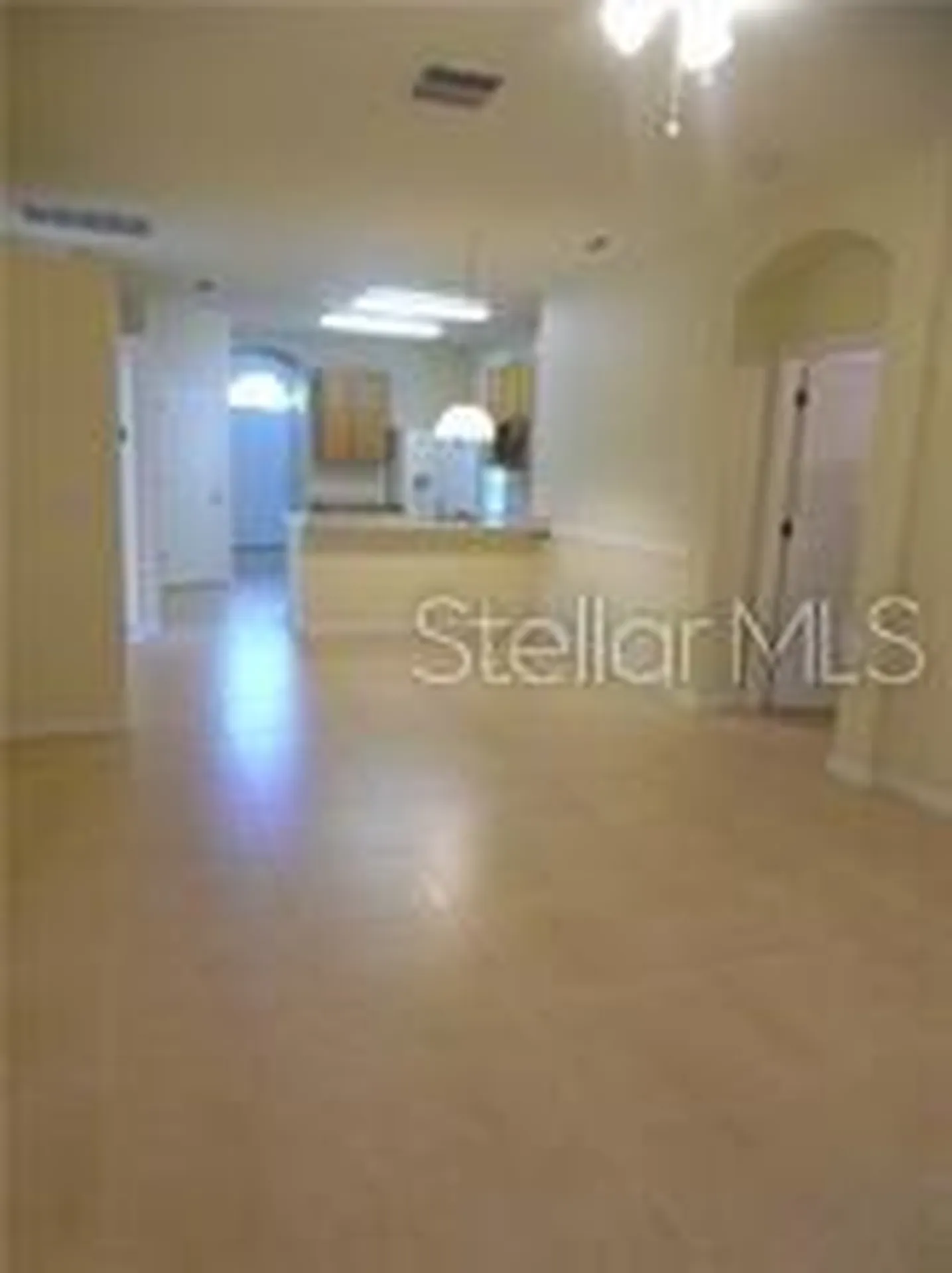 11339 Village Brook Drive Riverview FL 33579