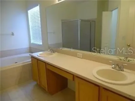11339 Village Brook Drive Riverview FL 33579