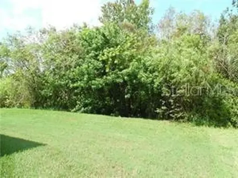 11339 Village Brook Drive Riverview FL 33579