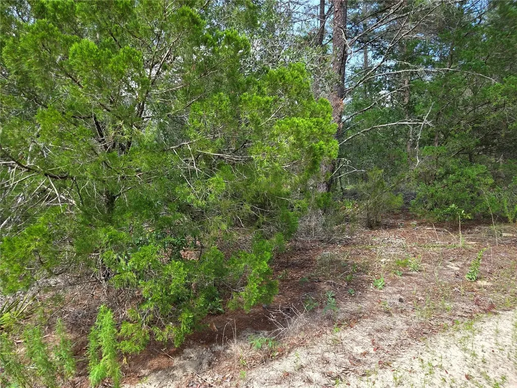 0000 NE 95th Street Archer FL 32618