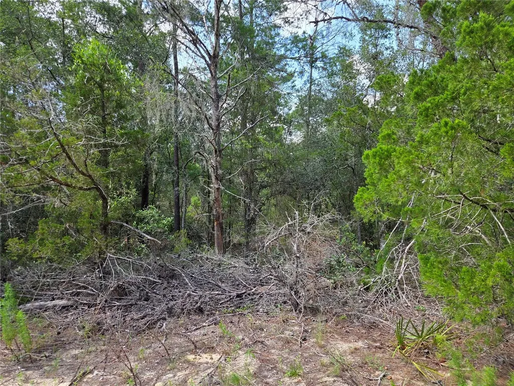 0000 NE 95th Street Archer FL 32618