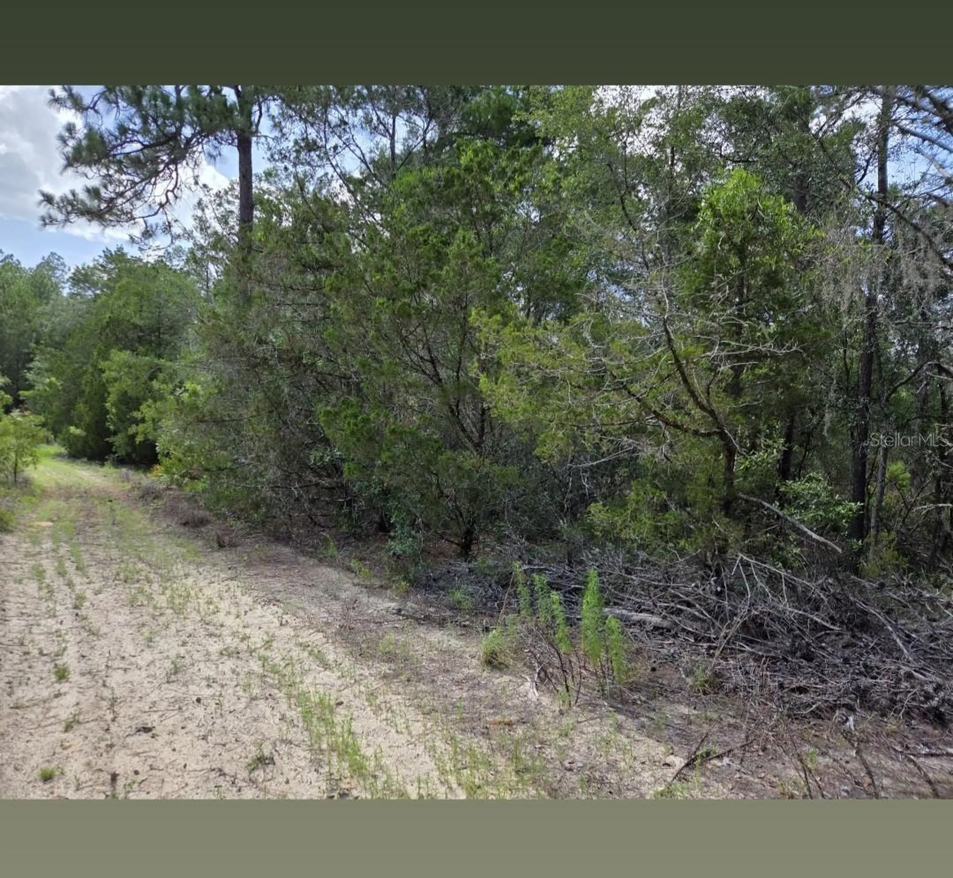 0000 NE 95th Street Archer FL 32618