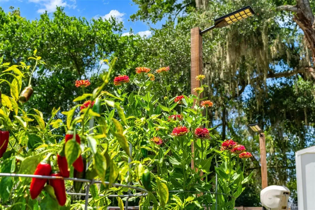 175 Grace Boulevard Altamonte Springs FL 32714