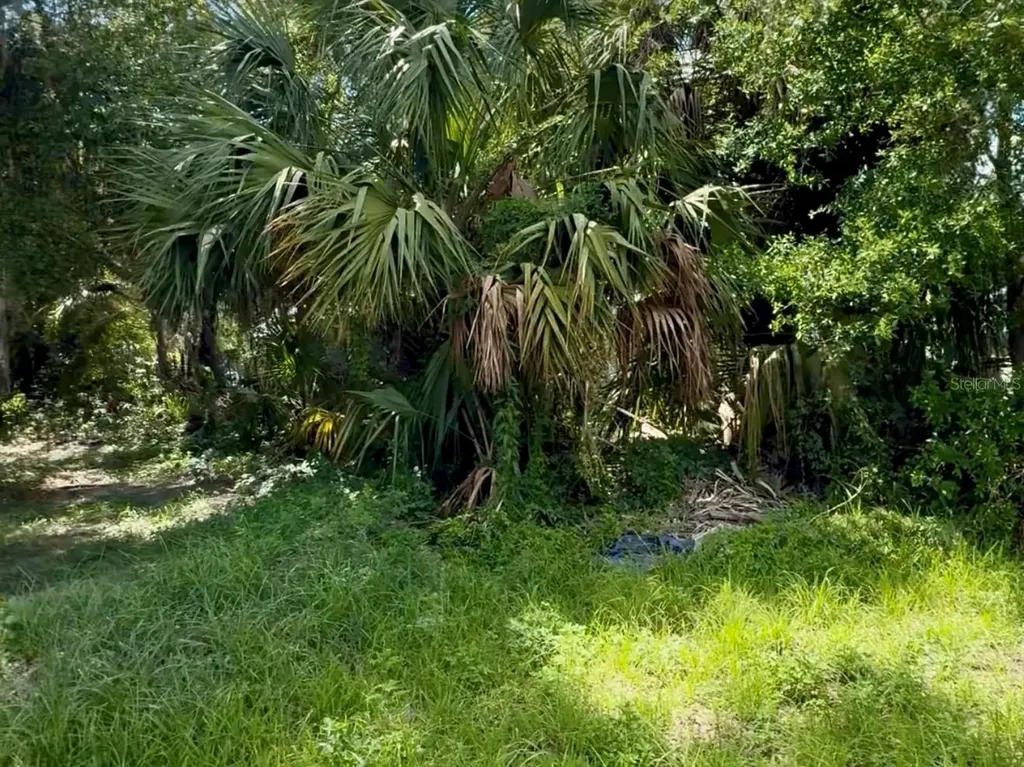 S Franklin Street Plant City FL 33563